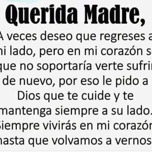 Meet your Posher, Rosairo